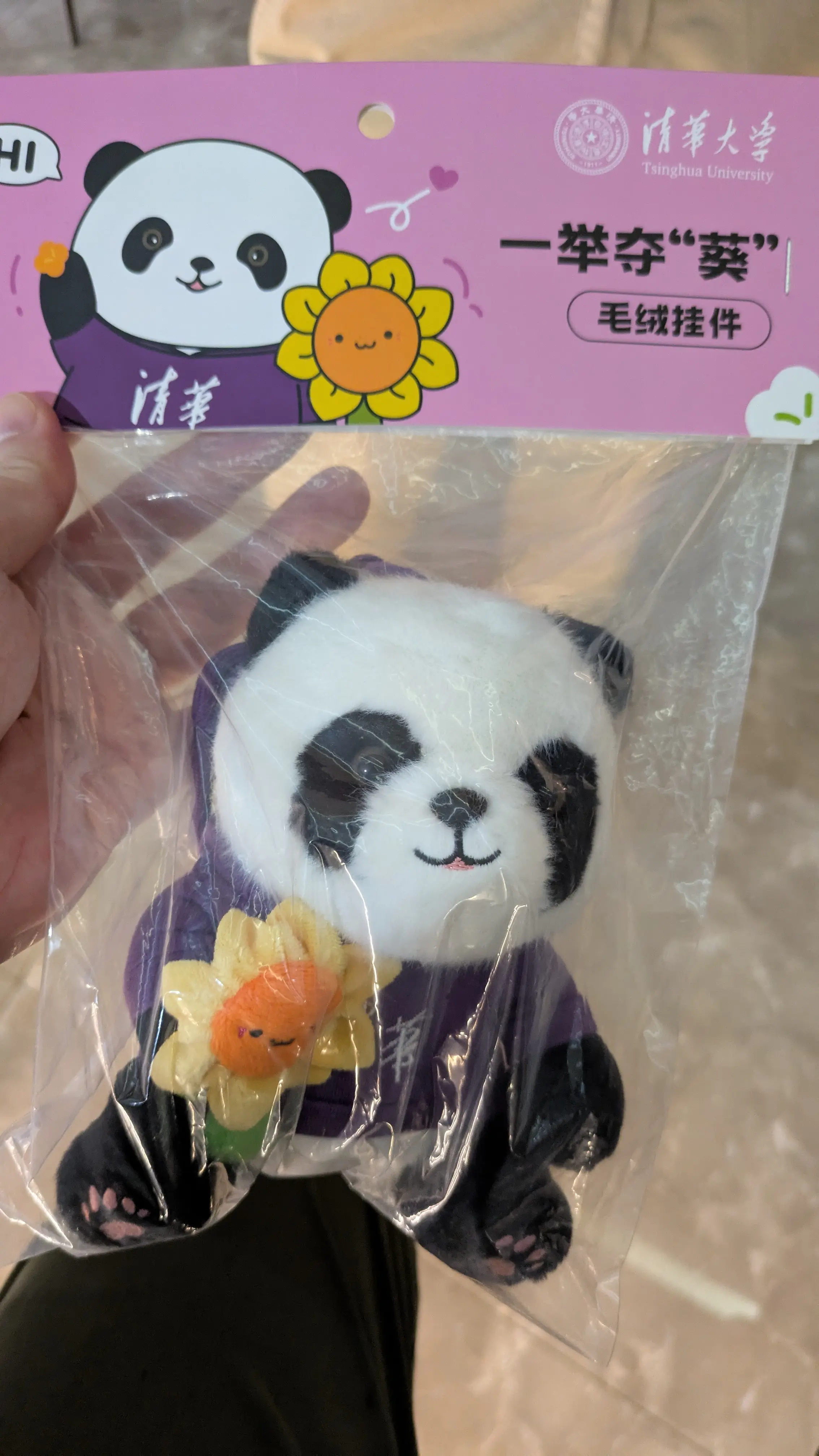 抱着向日葵的清华大学的熊猫